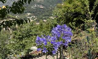 Terrain  1516 m² à vendre à Menton (06500)