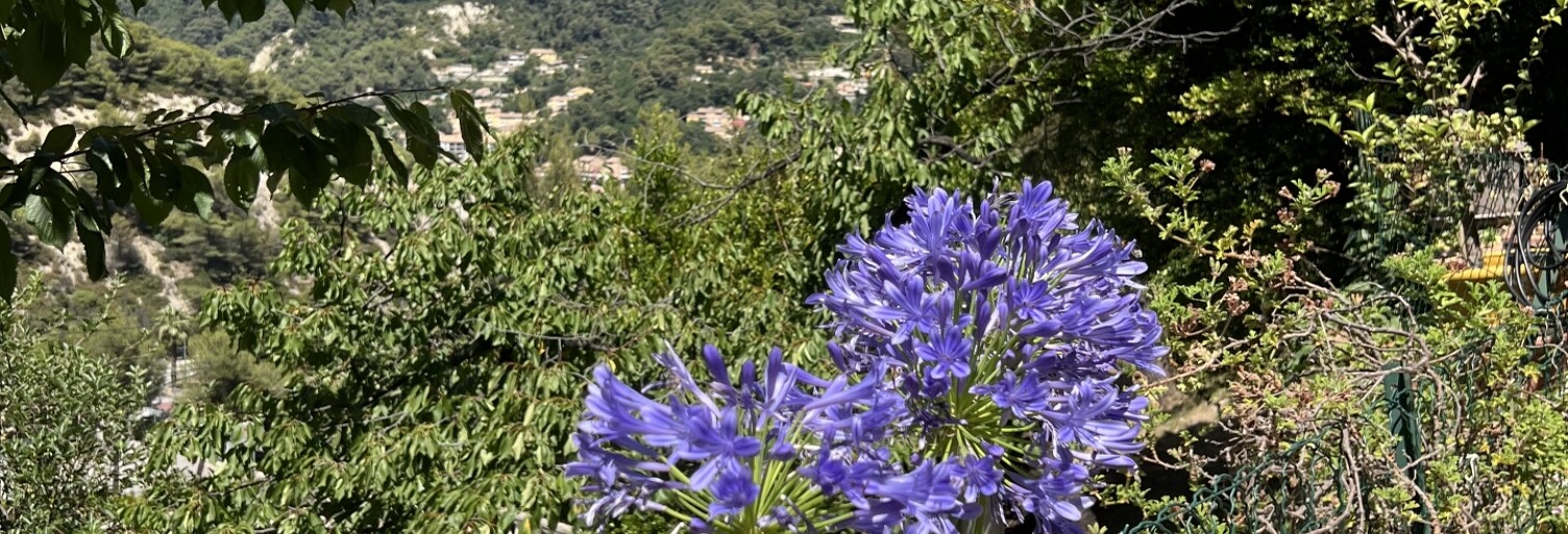 Terrain  1516 m² à vendre à Menton (06500)