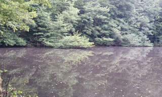 Terrain  26010 m² à vendre à Auxelles-Bas (90200)