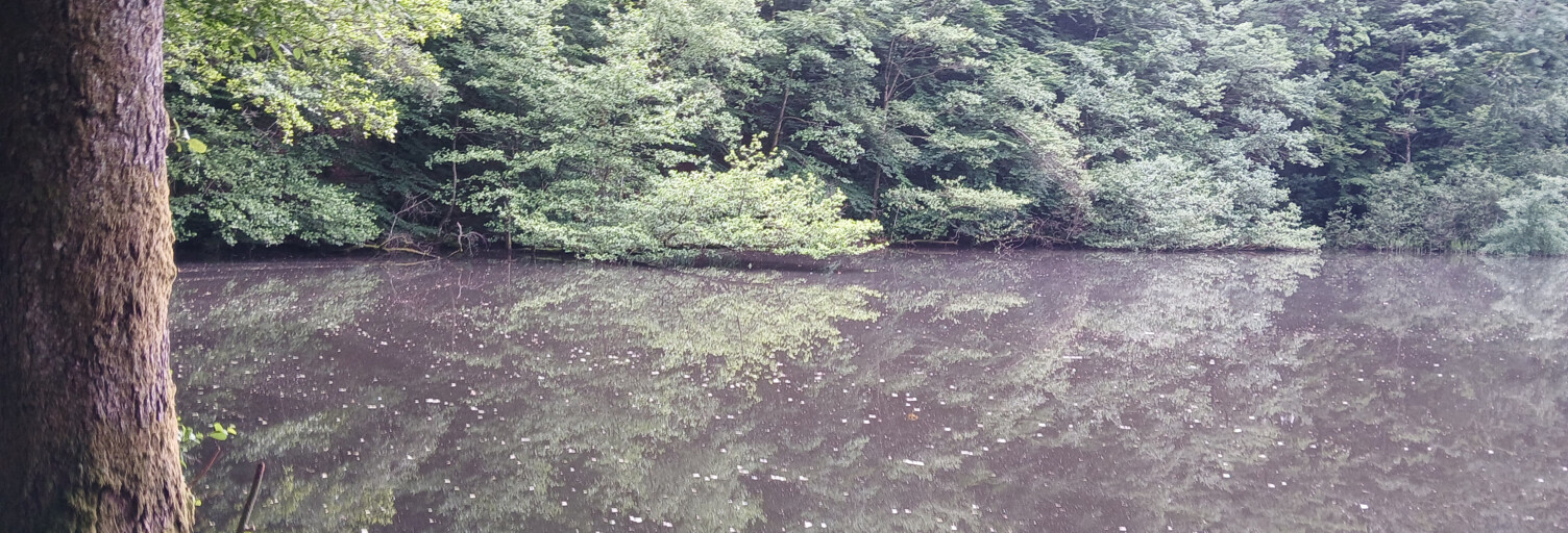 Terrain  26010 m² à vendre à Auxelles-Bas (90200)