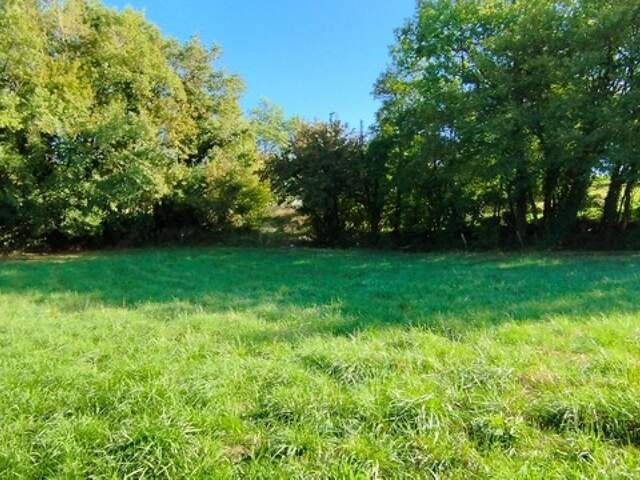 Pranzac, terrain plat avec CU de 1393 m², divisible — photo du bien