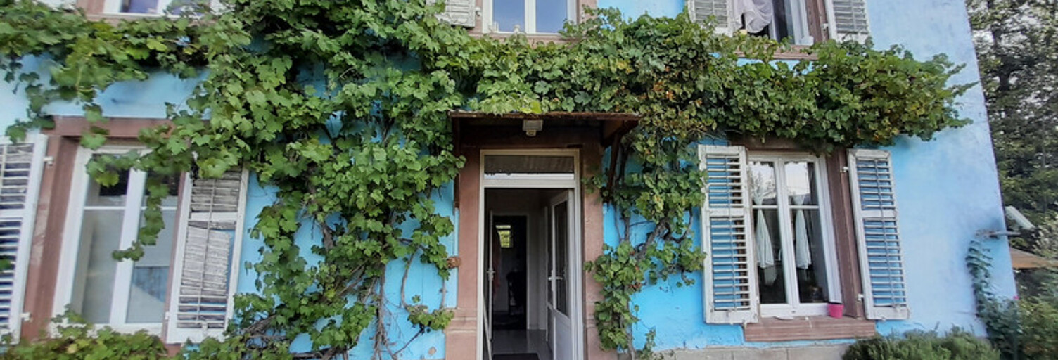 Maison 9 Pièces 300 m² à vendre à Frapelle (88490)