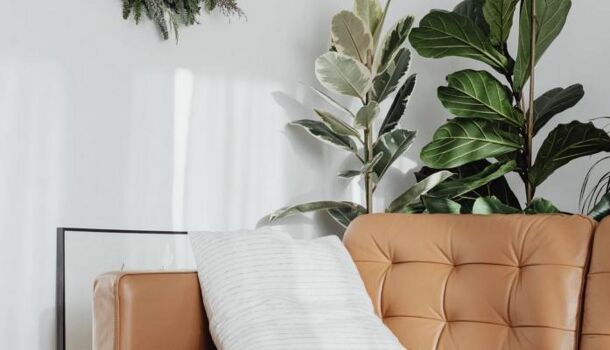 Appartement 2 pièces  à vendre Toulouse 31300