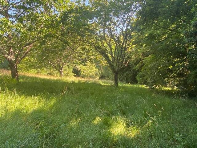 Terrain À Vendre 2750m² — photo du bien