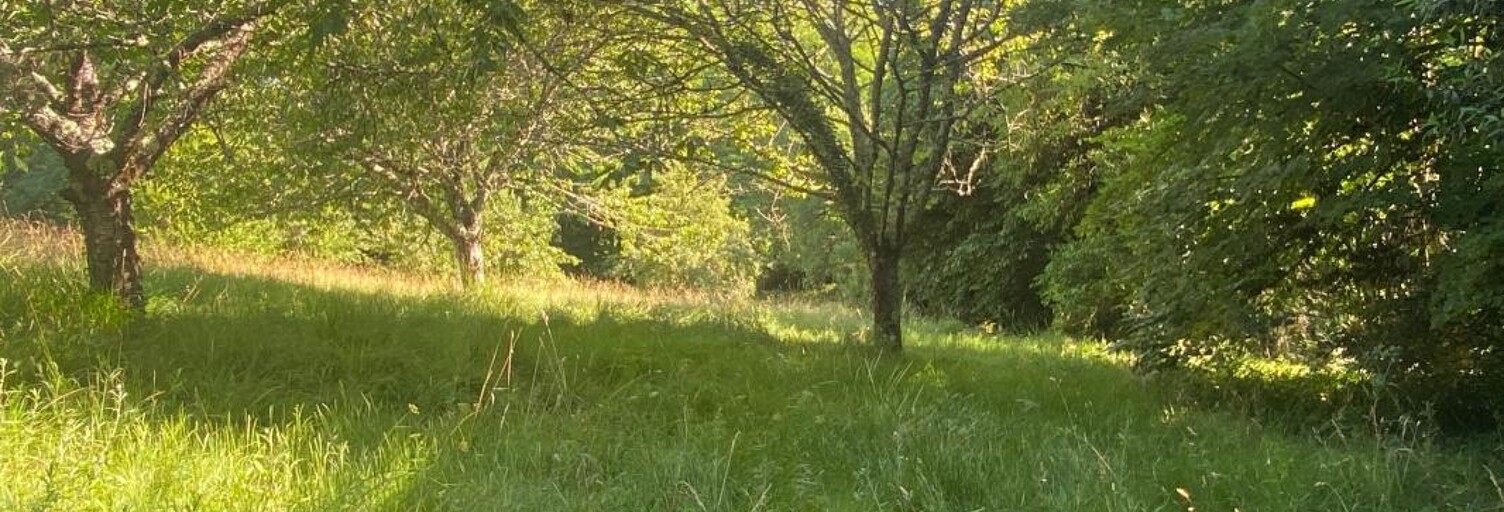 Terrain  2750 m² à vendre à Créon (33670)