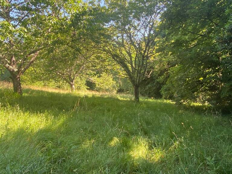 Terrain À Vendre 2750m² — photo 1
