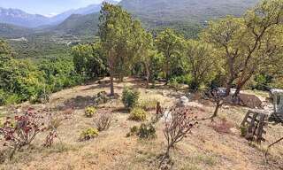 Terrain  1068 m² à vendre à Tavaco (20167)