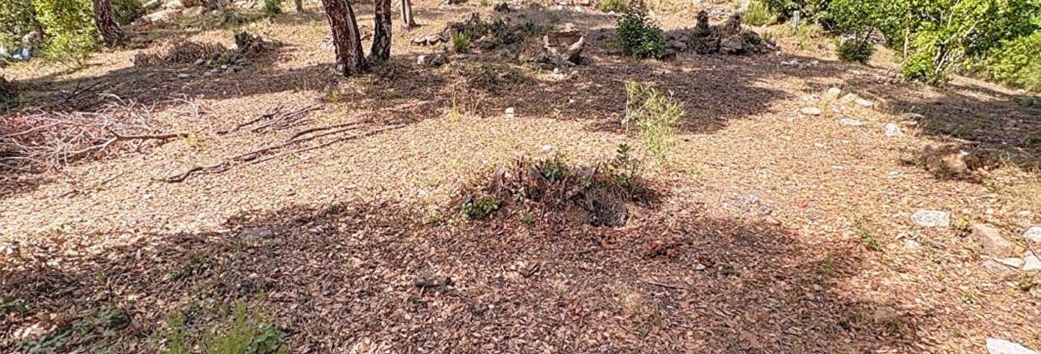 Terrain  1068 m² à vendre à Tavaco (20167)