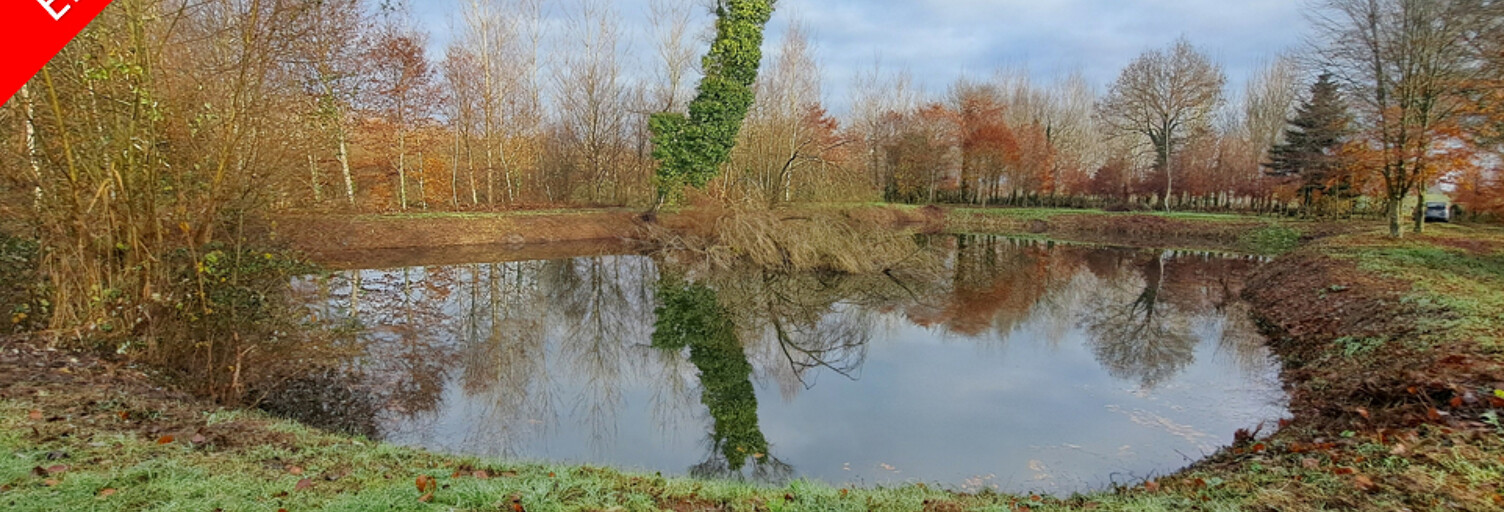 Commerce 1 Pièce 5000 m² à vendre à Noyant-Villages (49490)