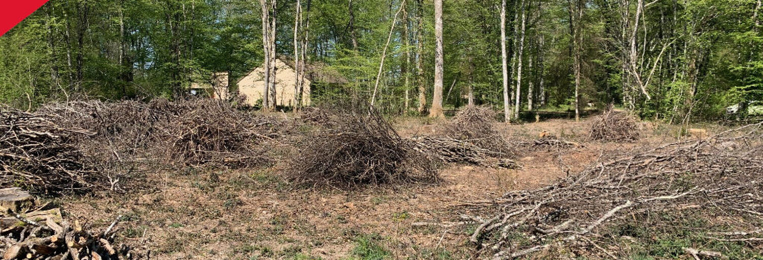 Terrain  1982 m² à vendre à Saint-Fargeau (89170)