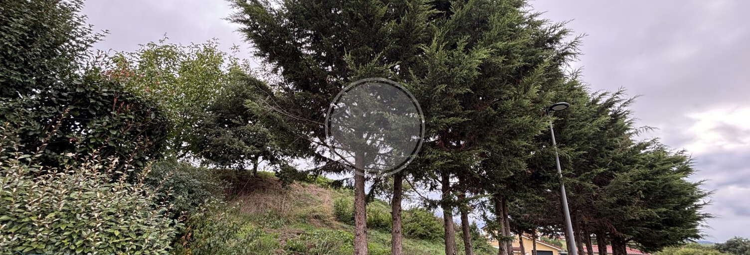 Terrain  731 m² à vendre à Saint-Laurent-de-Chamousset (69930)