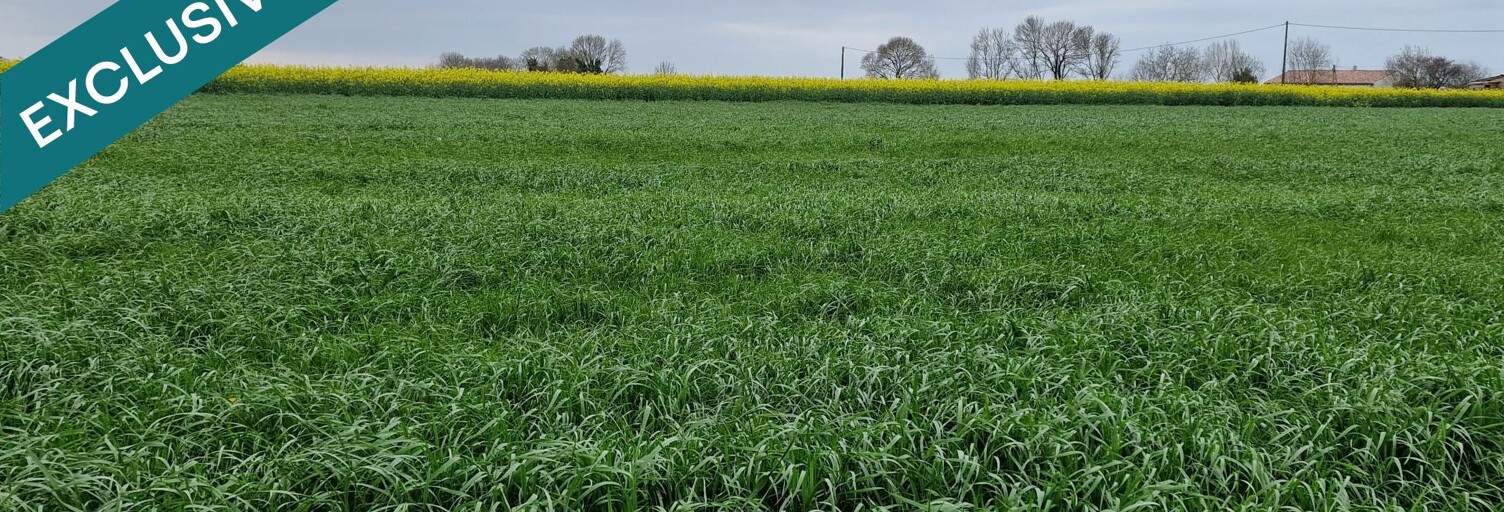 Terrain  600 m² à vendre à Saint-Romain-de-Benet (17600)