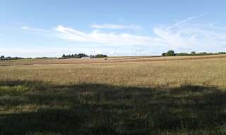 Terrain  1079 m² à vendre à Mirambeau (17150)