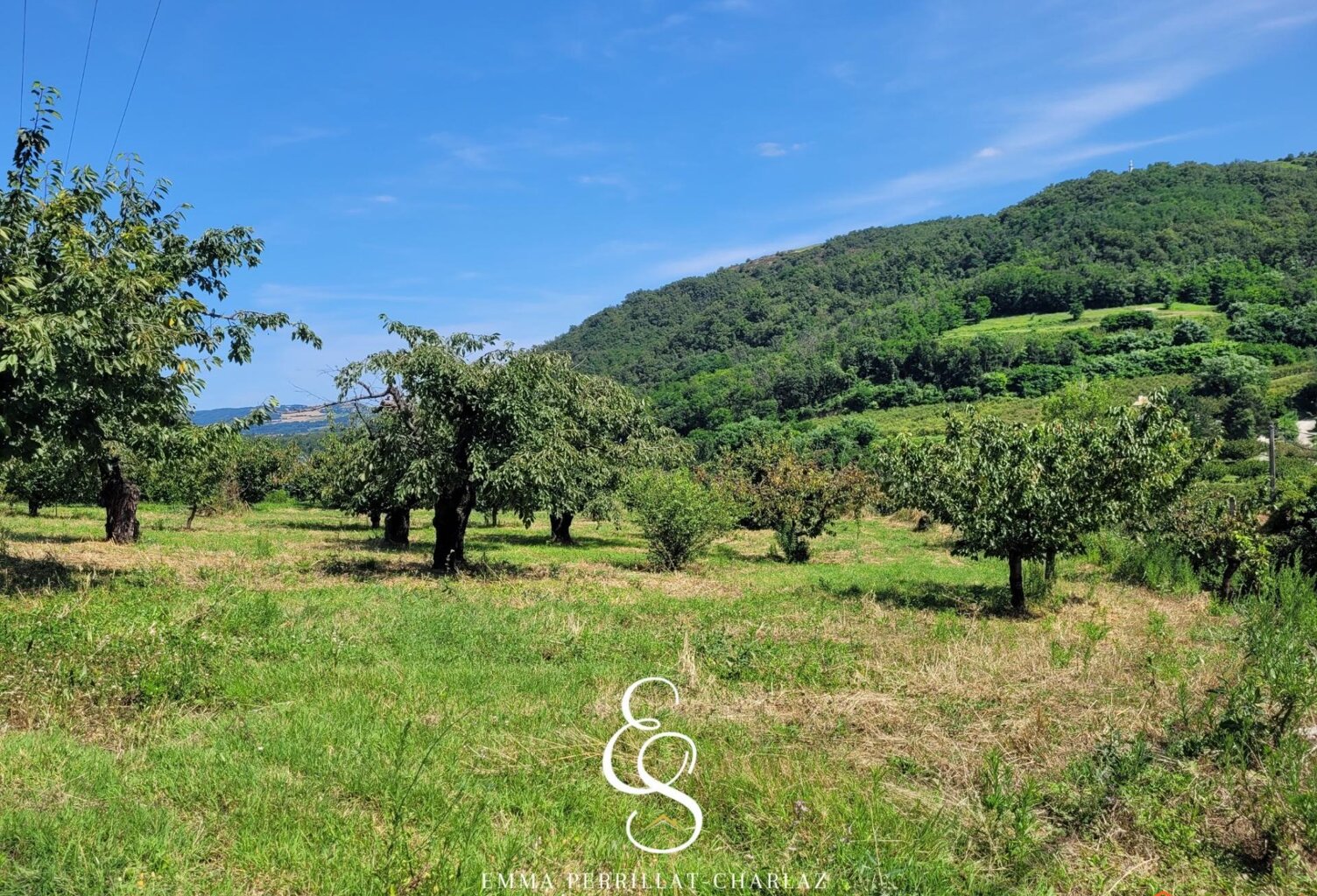UN ÉCRIN DE VERDURE POUR VOIR GRANDIR VOS PROJETS. — photo 1