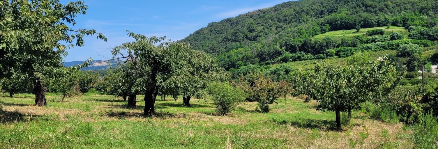 Terrain  2215 m² à vendre à Saint-Désirat (07340)