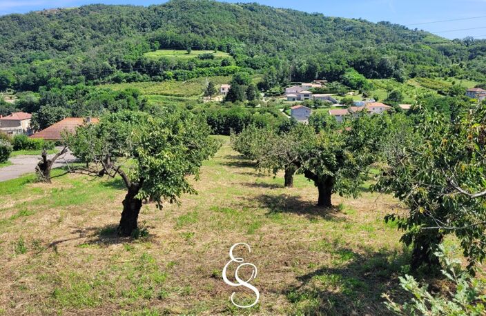 UN ÉCRIN DE VERDURE POUR VOIR GRANDIR VOS PROJETS. — photo 3
