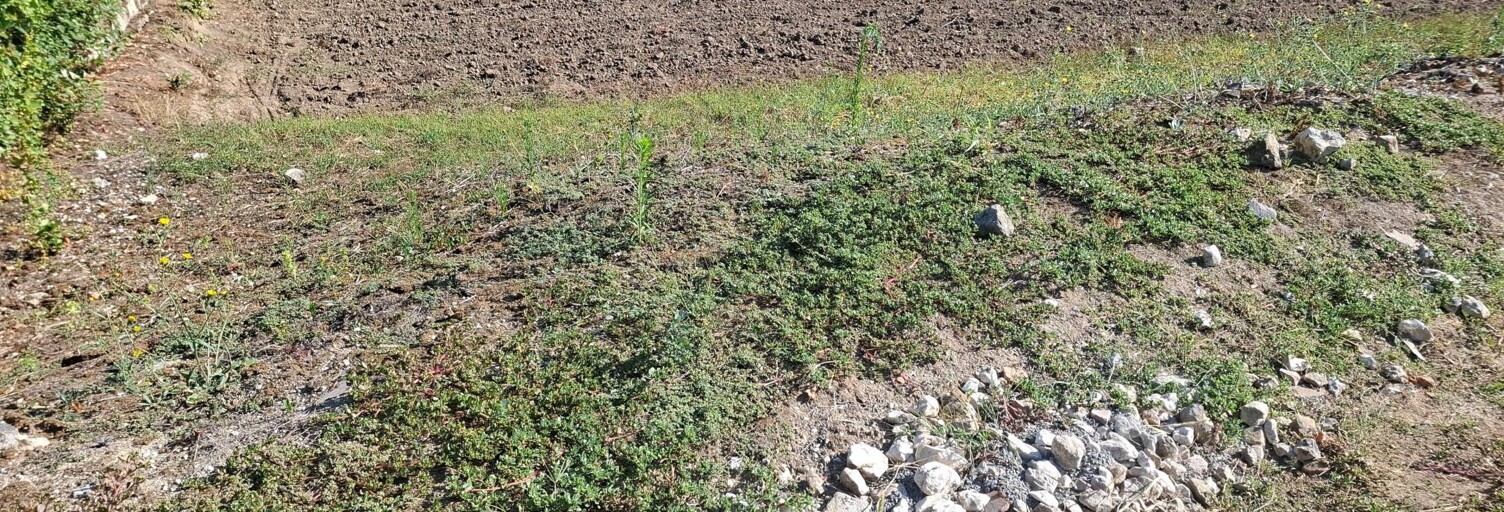 Terrain  1118 m² à vendre à Aiguefonde (81200)