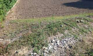 Terrain  1118 m² à vendre à Aiguefonde (81200)