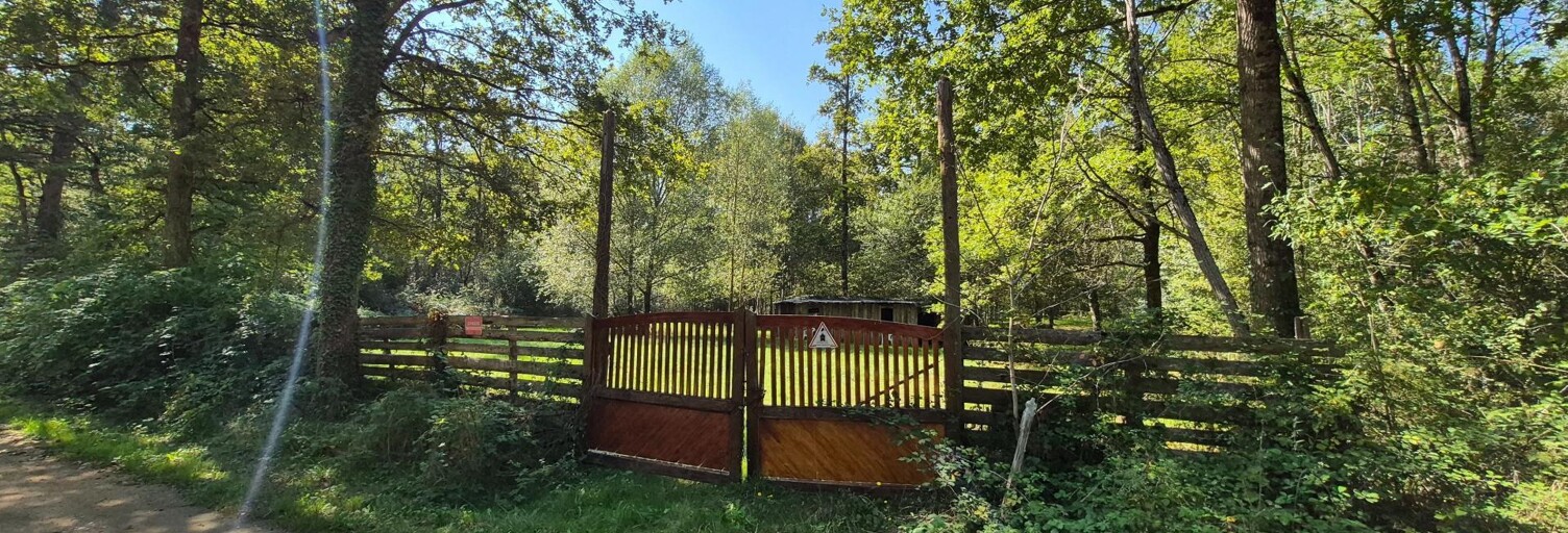 Terrain  4556 m² à vendre à Guesnes (86420)