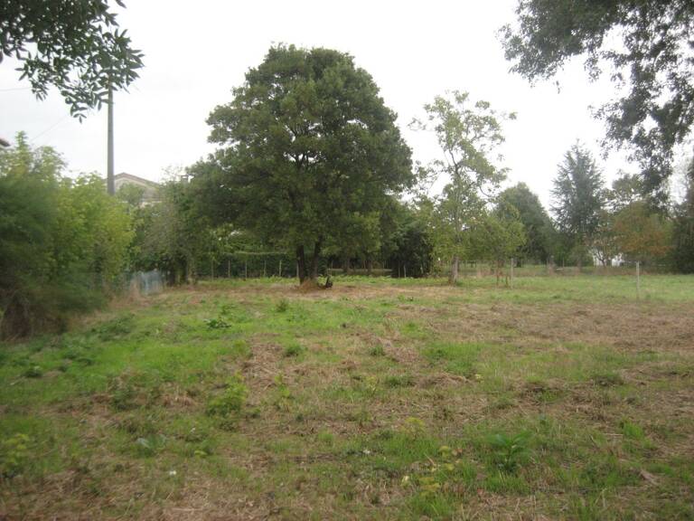 Terrain à Bâtir — photo 1