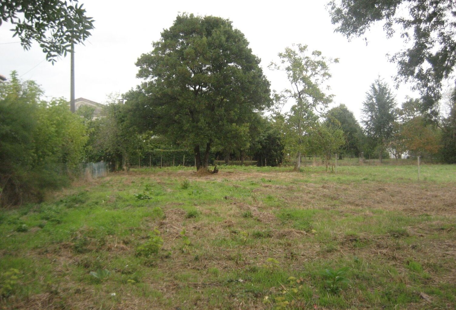 Terrain à Bâtir — photo 1