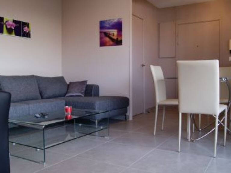 Appartement meublé à louer à lyon 3ème  ,terrasse garage — photo 1