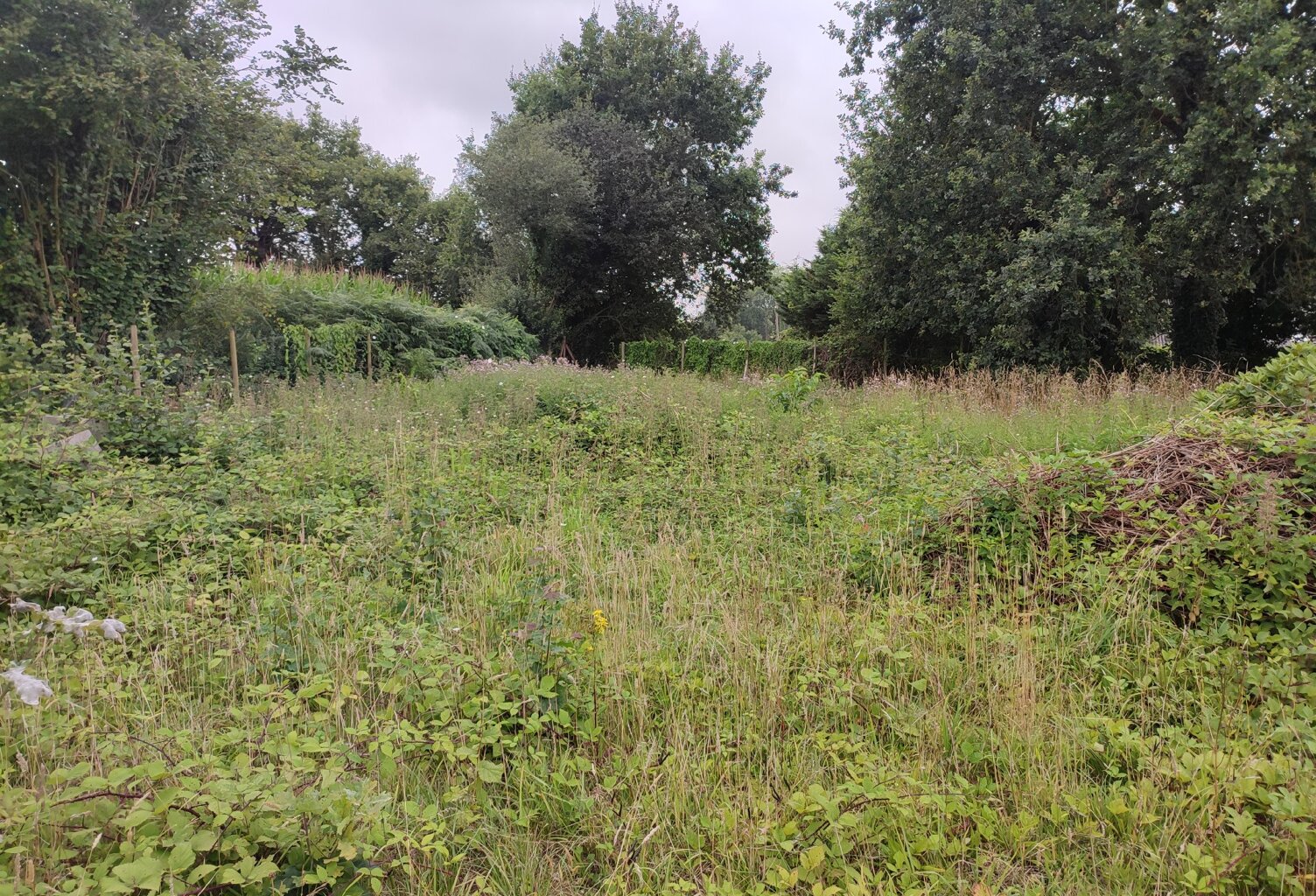 A VENDRE - SOQUET IMMOBILIER- TERRAIN DE LOISIRS 1720 m² - LANRELAS — photo 1