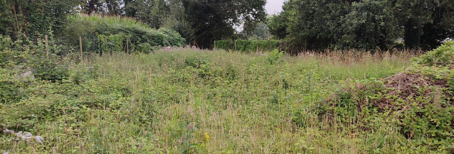 Terrain  1720 m² à vendre à Lanrelas (22250)