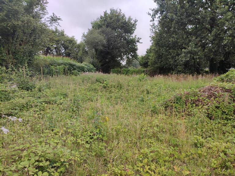 A VENDRE - SOQUET IMMOBILIER- TERRAIN DE LOISIRS 1720 m² - LANRELAS — photo 1