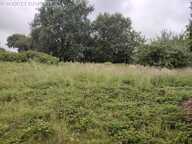 A VENDRE - SOQUET IMMOBILIER- TERRAIN DE LOISIRS 1720 m² - LANRELAS — photo 2