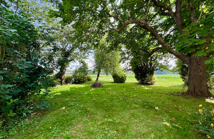 À vendre Maison de maître du XIXe avec grange et parc arboré  d'environ1,5 hectare, proche Villeneuve-sur-Lot. Dans un environnement calme et verdoyant, à seulement quelques minutes de la bastide historique de Villeneuve-sur-Lot, cette maison de maître — photo 4