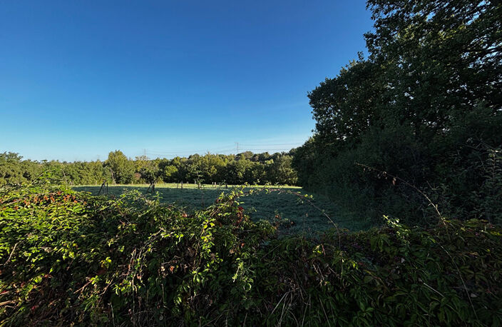VERDUN-SUR-GARONNE — photo 4