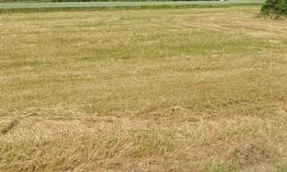 Terrain  644 m² à vendre à Saint-Romain-de-Benet (17600)