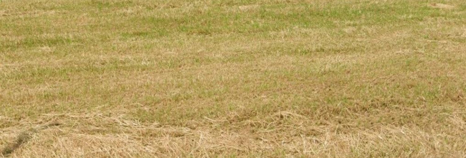 Terrain  644 m² à vendre à Saint-Romain-de-Benet (17600)