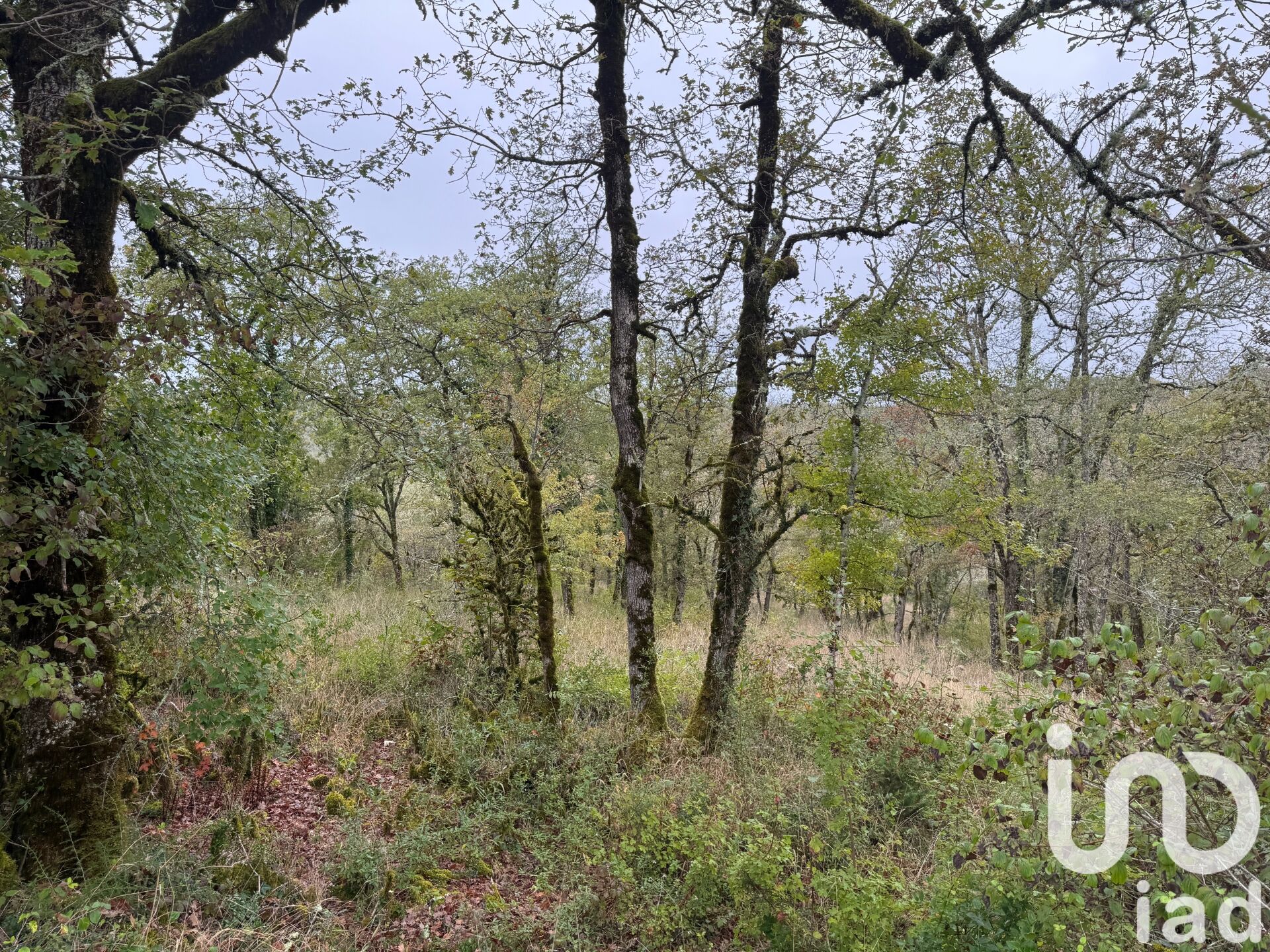 Saint-Gery-Vers - 1420m²