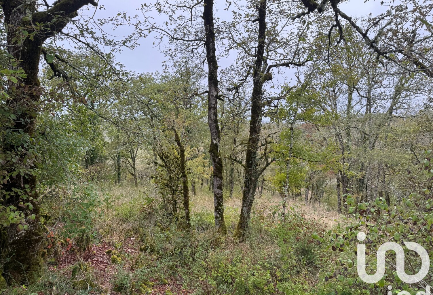 Vente Terrain 1 420 m&sup2; — photo 1