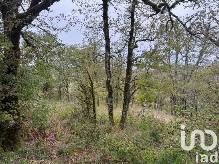 Vente Terrain 1 420 m&sup2; — photo 1