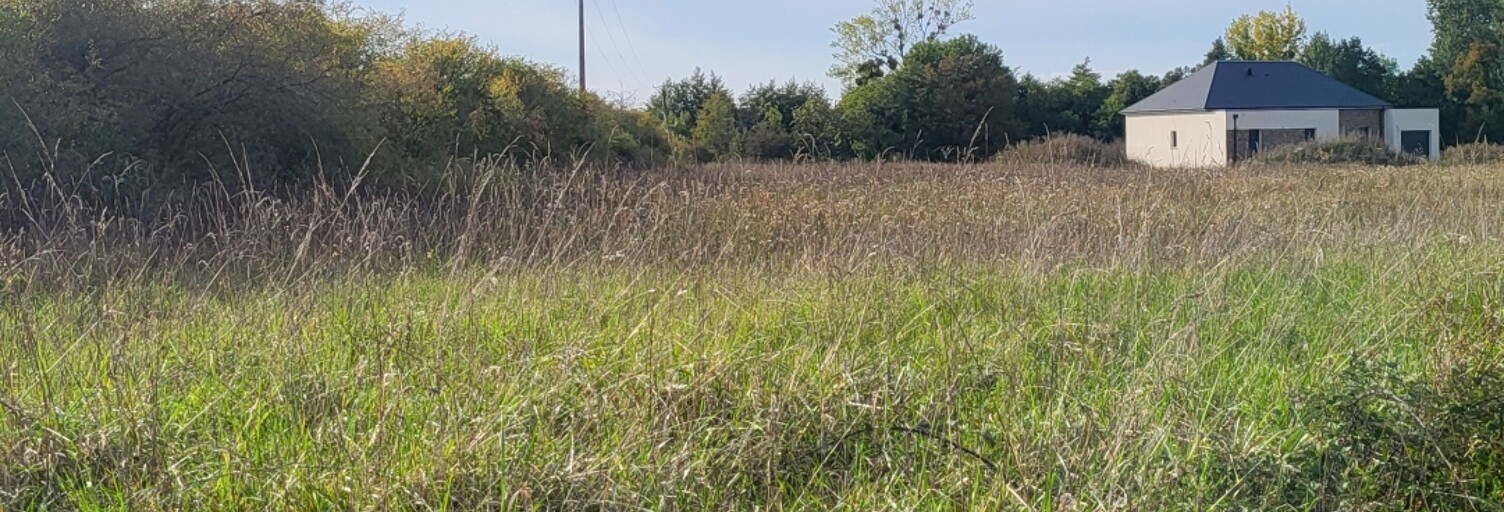 Terrain  2226 m² à vendre à La Cour-Marigny (45260)