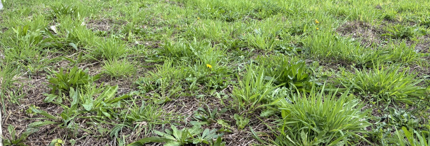 Terrain  510 m² à vendre à Fouesnant (29170)