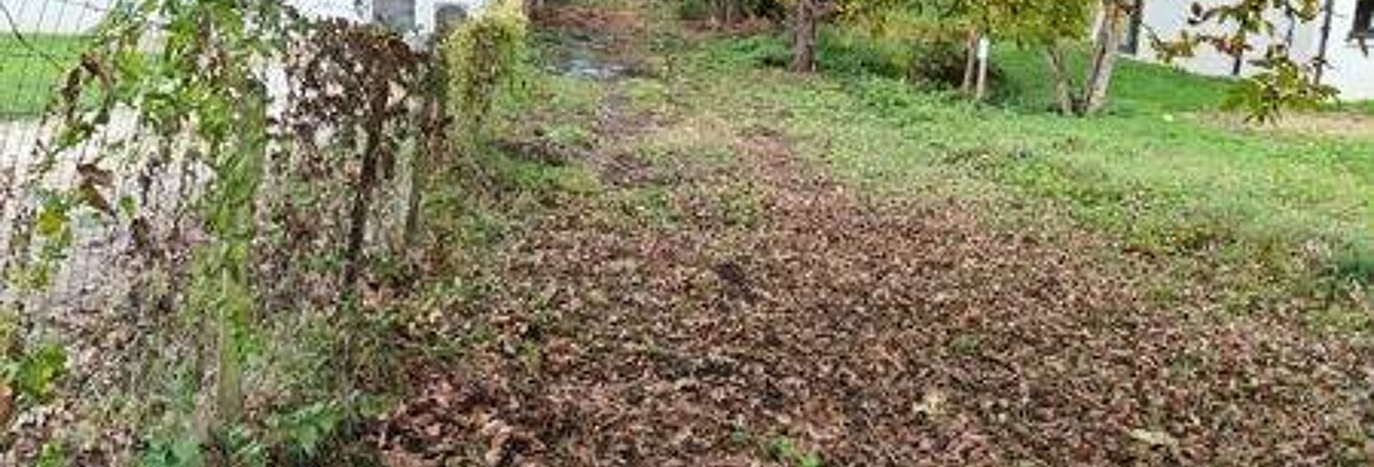 Terrain  161 m² à vendre à Lussault-sur-Loire (37400)