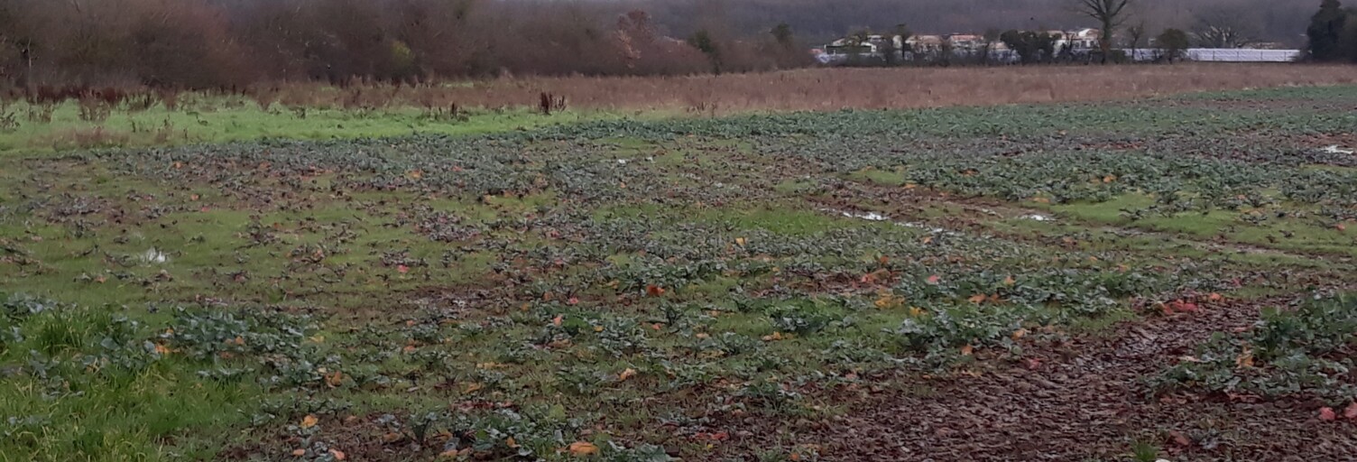 Terrain  15080 m² à vendre à Ligugé (86240)