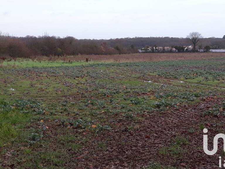 Vente Terrain 15 080 m&sup2; — photo 1