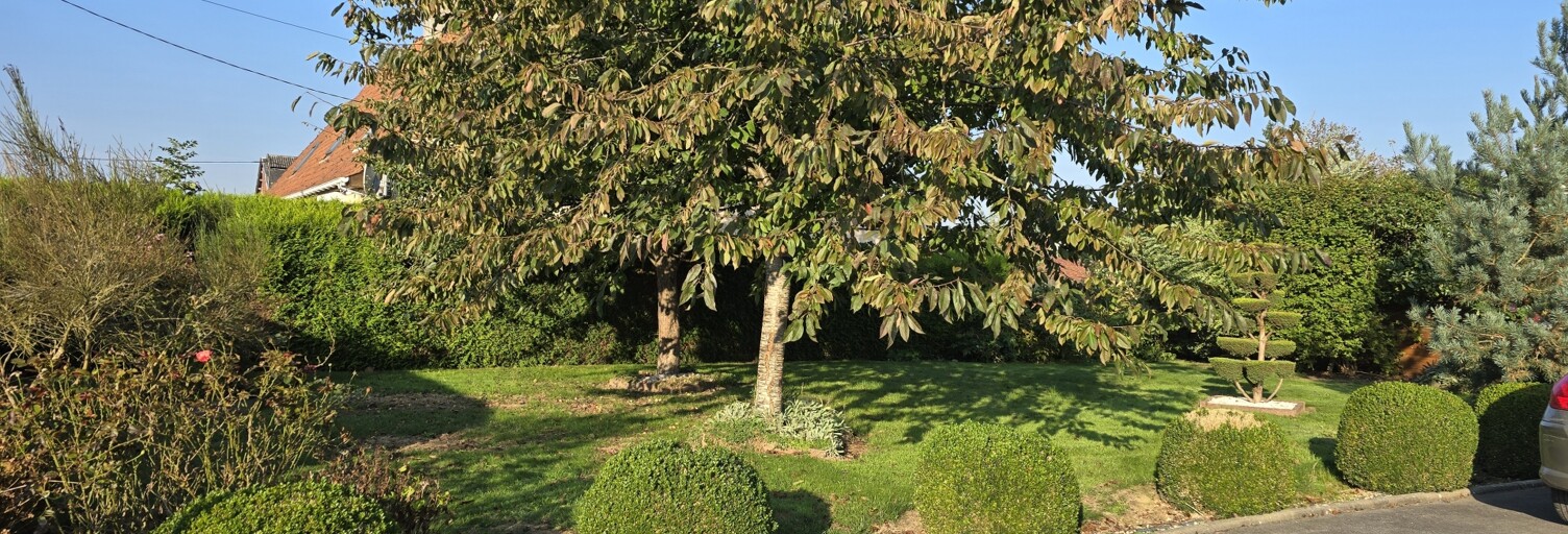 Maison 7 Pièces 213 m² à vendre à Auchy-lès-Hesdin (62770)