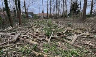 Terrain  1026 m² à vendre à Larchant (77760)