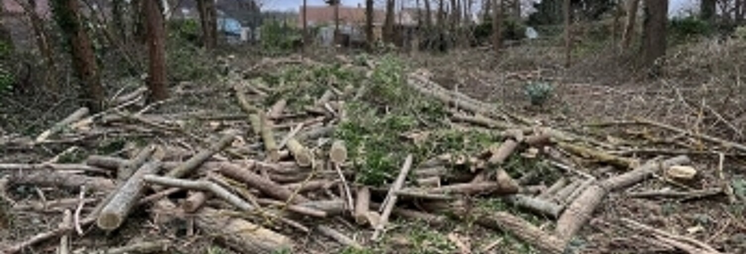 Terrain  1026 m² à vendre à Larchant (77760)