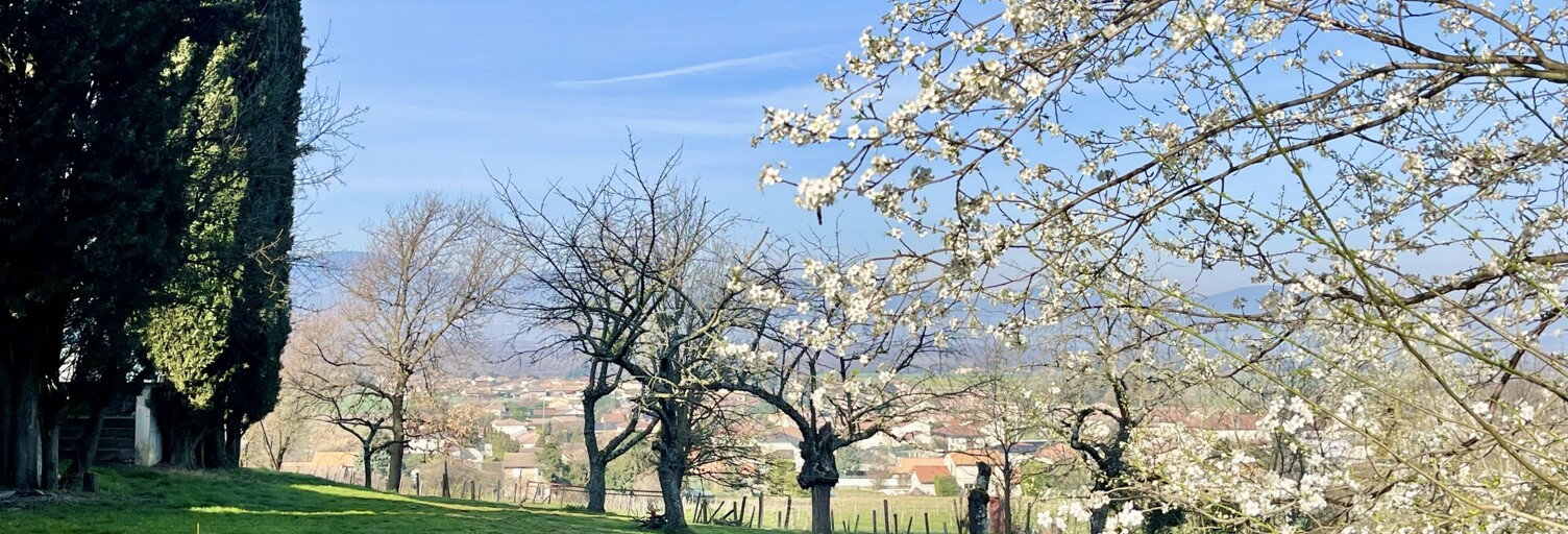 Terrain  1112 m² à vendre à Assieu (38150)