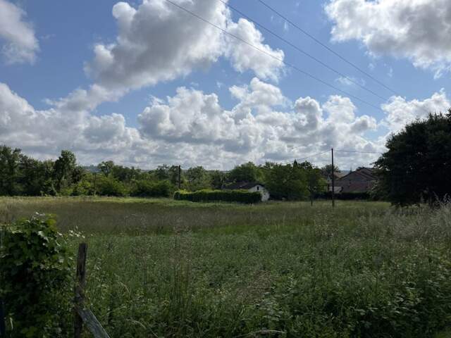 Terrain 2560 m² à Bellocq — photo du bien