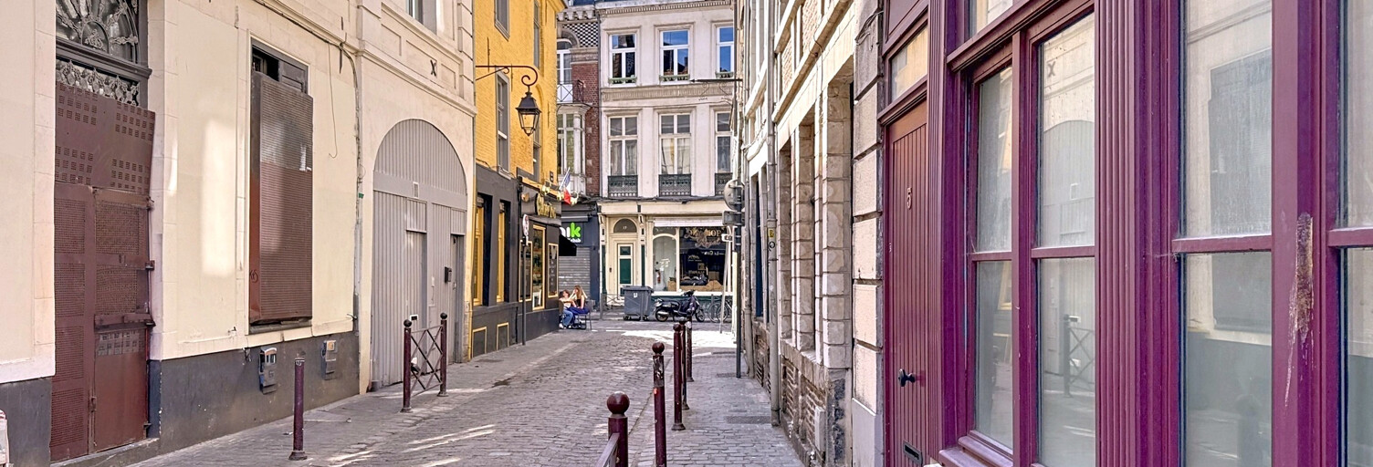 Appartement 1 Pièce 15 m² à vendre à Lille (59800)