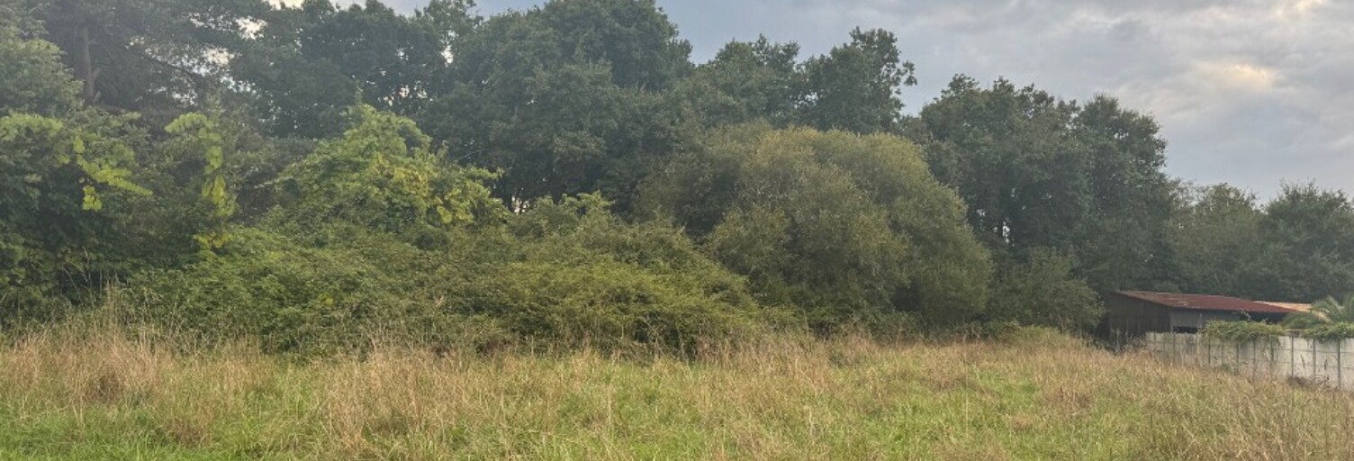 Terrain  955 m² à vendre à Vendays-Montalivet (33930)