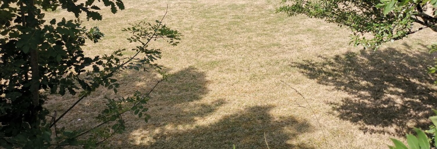 Terrain  1150 m² à vendre à Périgueux (24000)